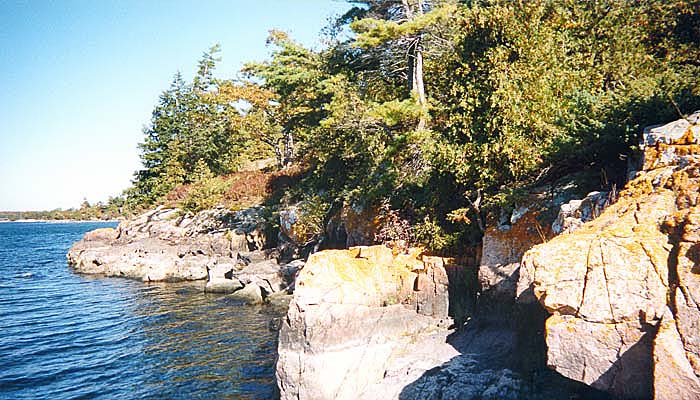 p04.jpg