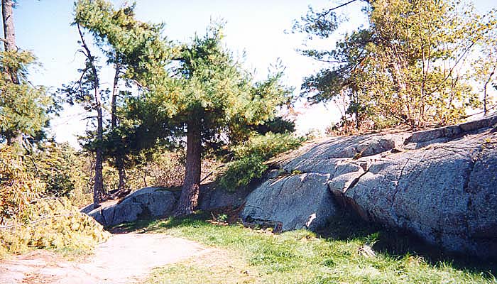 p05.jpg