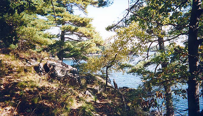 p08.jpg