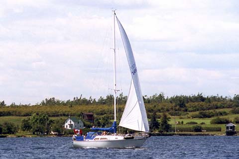 p05.jpg