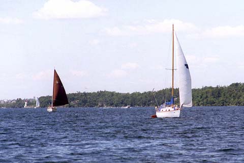 p06.jpg