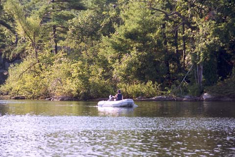 p12.jpg