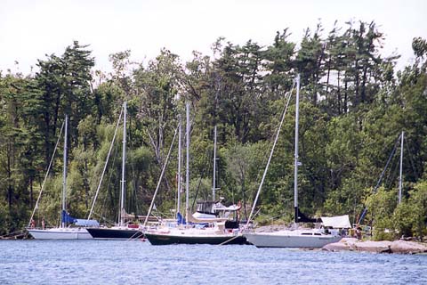 p13.jpg