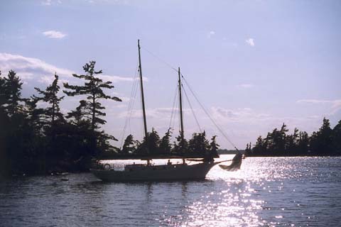 p14.jpg