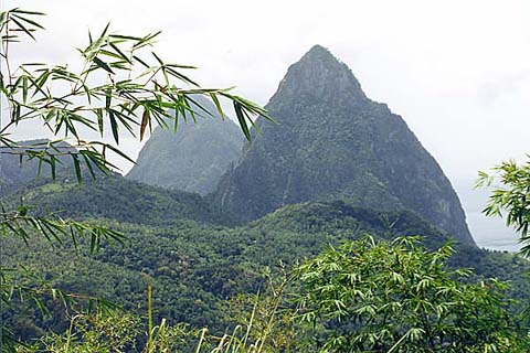 p05.jpg
