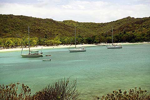p12.jpg