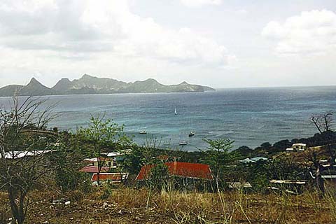 p13.jpg