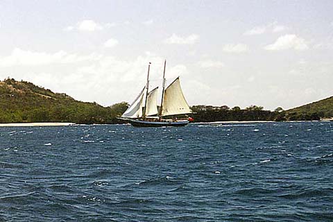 p14.jpg