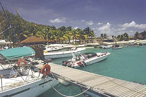 p15.jpg