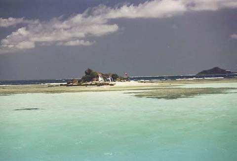 p18.jpg