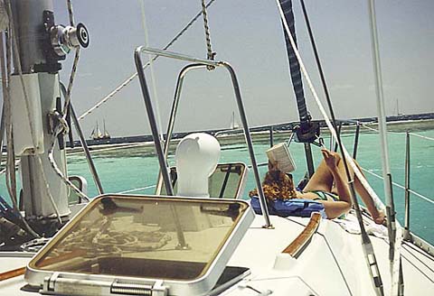 p23.jpg