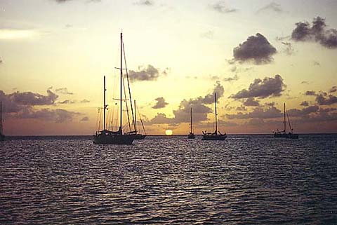 p29.jpg