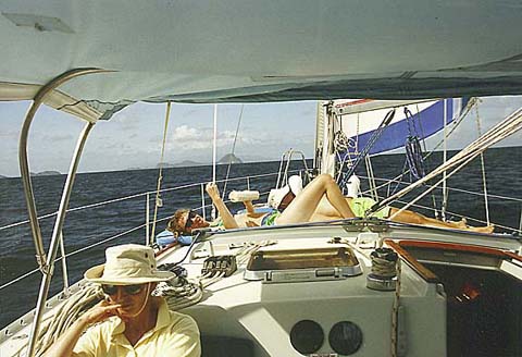 p31.jpg
