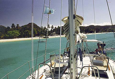 p33.jpg