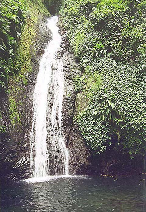 p38.jpg