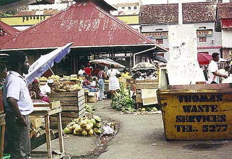p43.jpg
