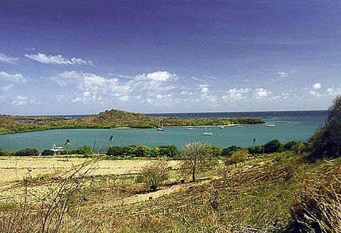 p45.jpg