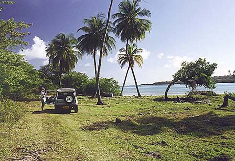 p46.jpg