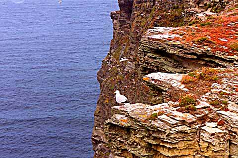 p006.jpg
