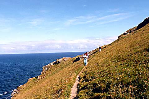 p021.jpg