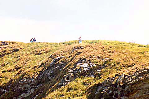 p023.jpg