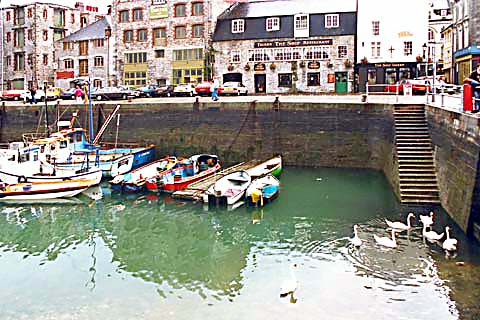 p161.jpg