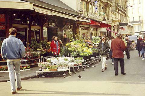 p27.jpg